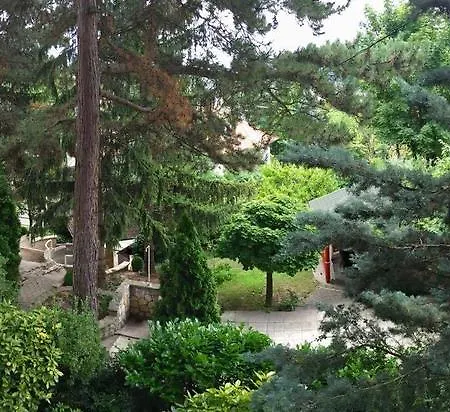 Guest house Vadvirag Panzio