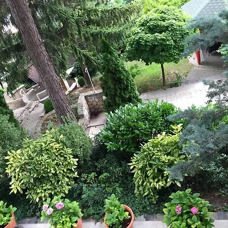 Vadvirag Panzio Guest house