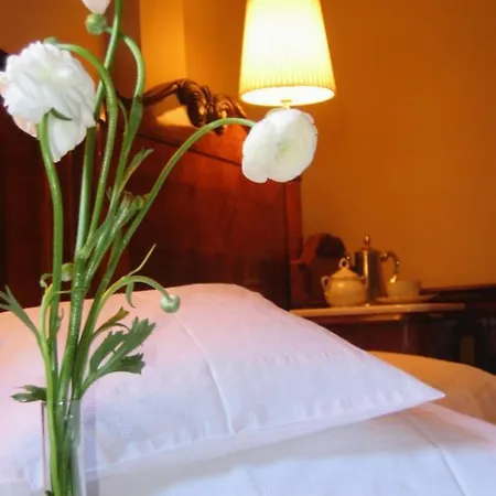 Guest house Vadvirag Panzio